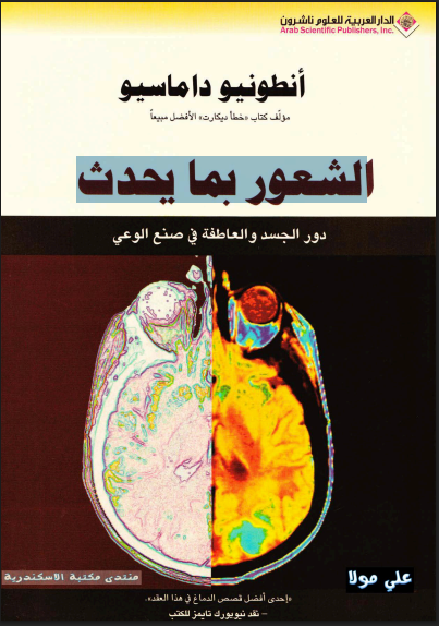 الشعور بما يحدث